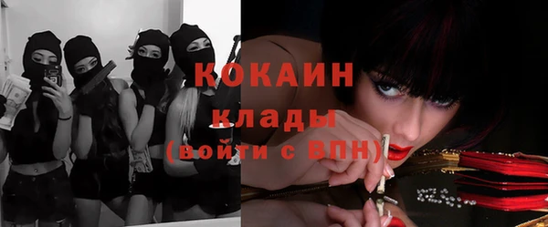 эйфоретик Аркадак