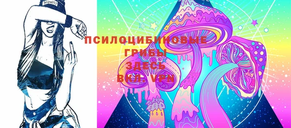 сатива Арсеньев
