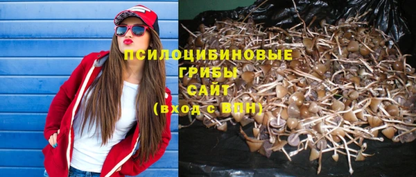 эйфоретик Аркадак