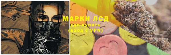 сатива Арсеньев