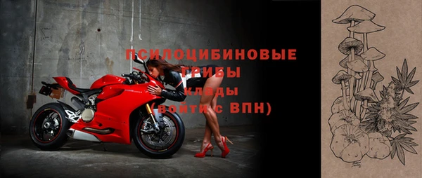 эйфоретик Аркадак