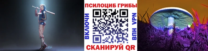 Псилоцибиновые грибы MAGIC MUSHROOMS Барабинск